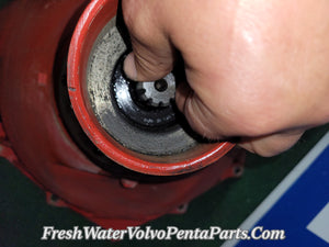 Volvo Penta  Bellhousing 853978 with 10 spline shaft Flawless Bearing FreshWater Low Hour